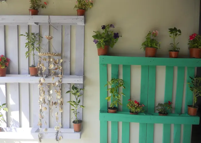 Bel Mare Άγιοι Απόστολοι