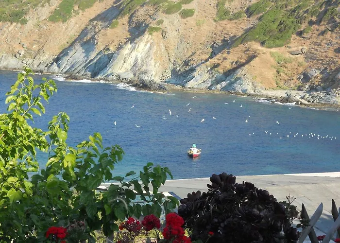 Bel Mare Πανσιόν Άγιοι Απόστολοι